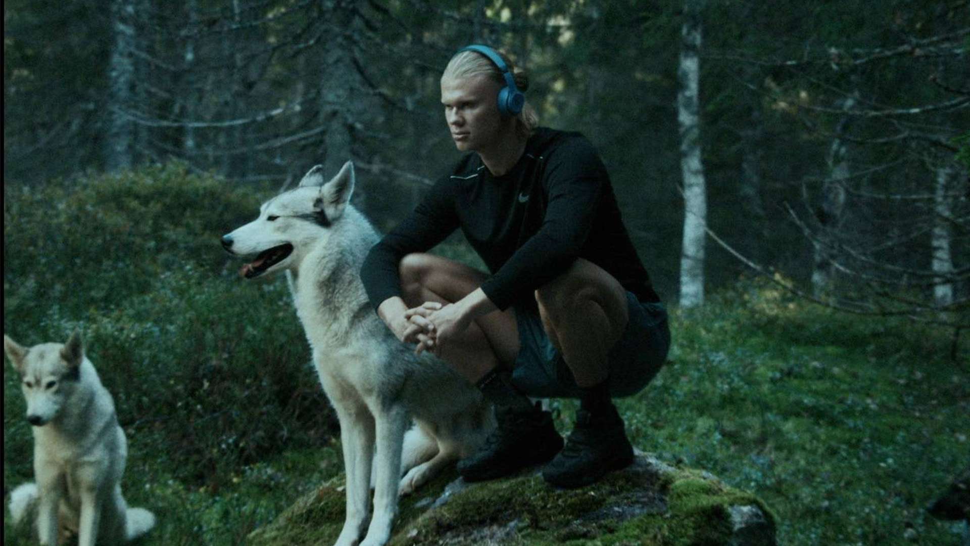 的行动证明 的行动证明