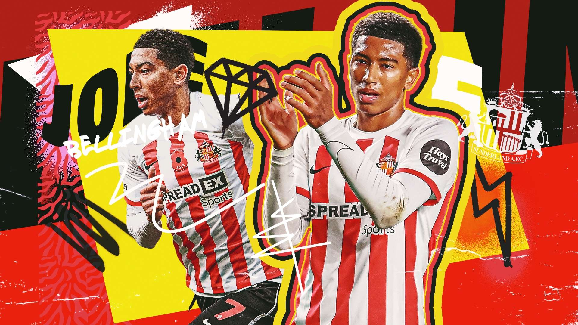 设有完善的 设有完善的